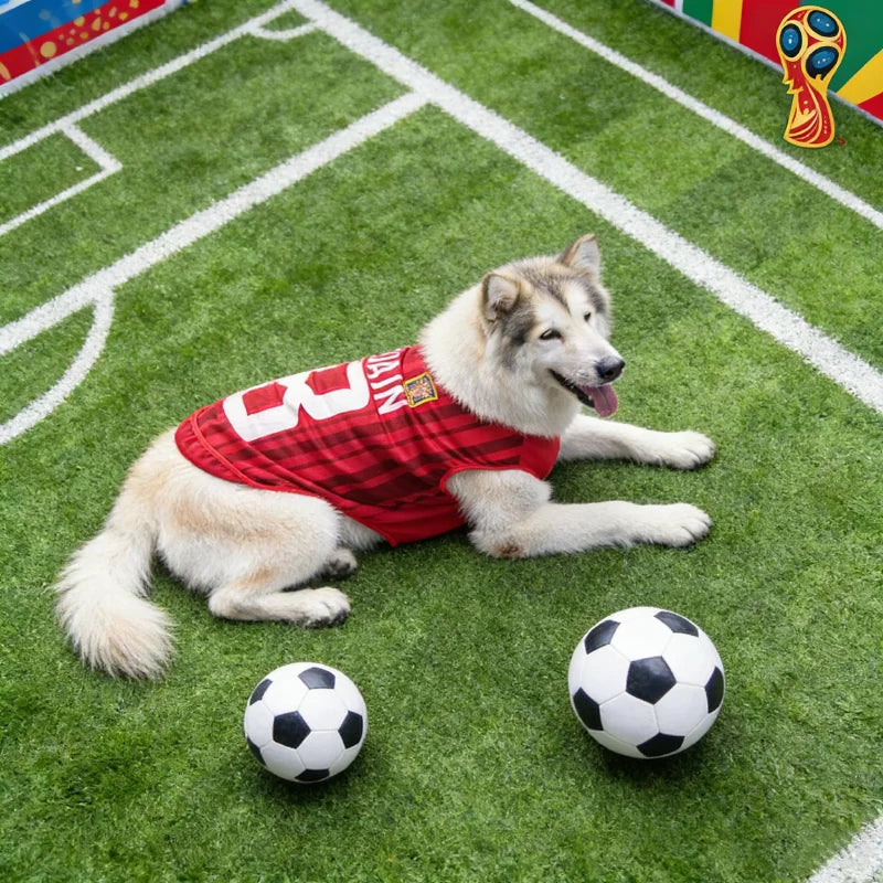 2026 Soccer Cat Dog Football Breathable Mesh Jersey