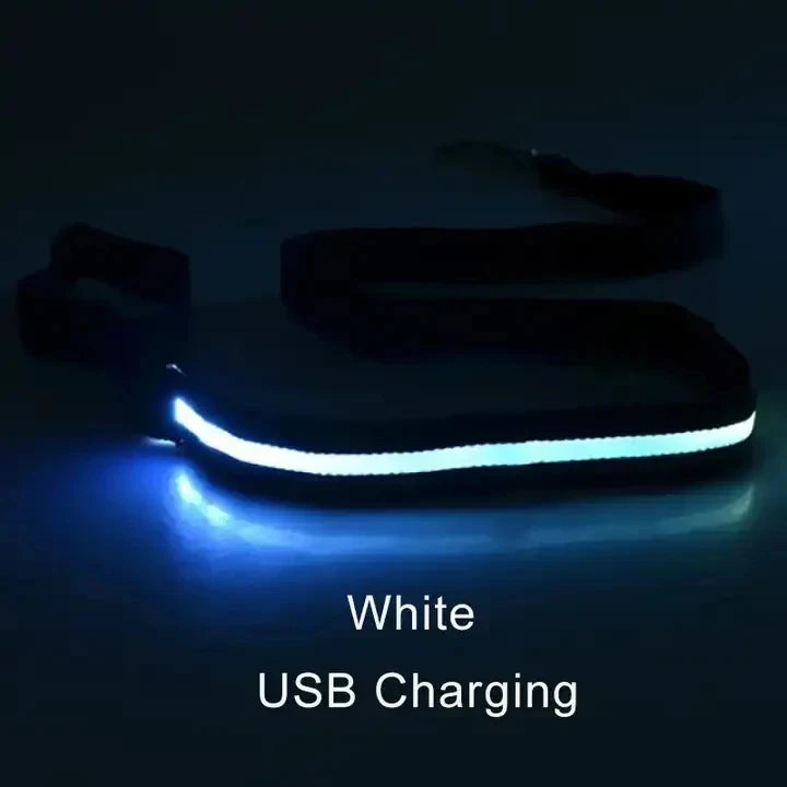 Led Pet Dog Leash Rope With Light Luminous