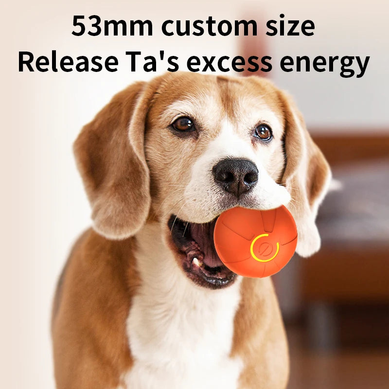 Smart Dog Toy Ball Automatic