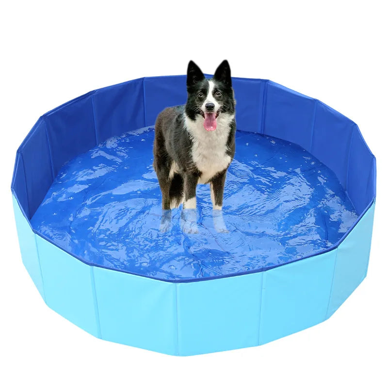 Foldable Cat Pool Toy Play Water Bath
