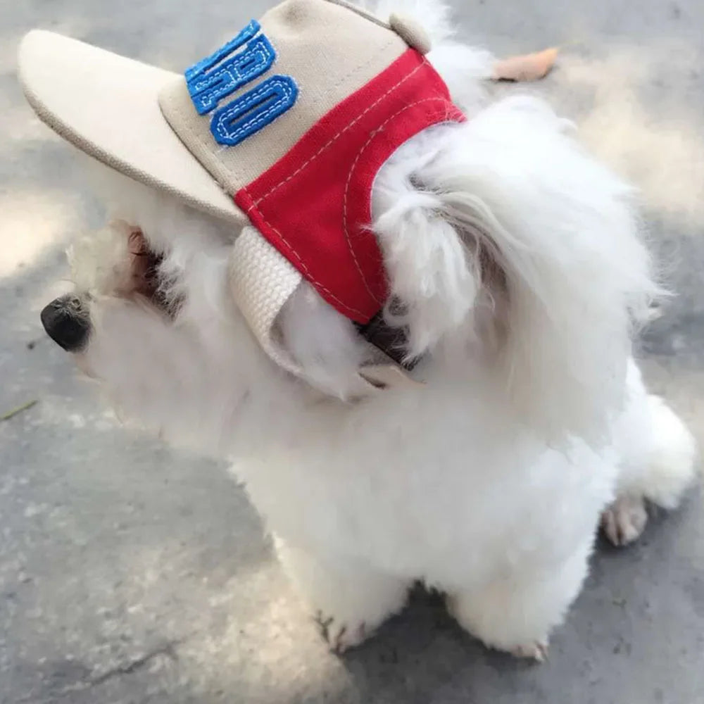 Baseball Small Puppy Sport Letter Cap for Dogs