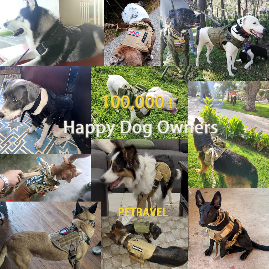Tactical Dog Harness Collar Leash Pouches