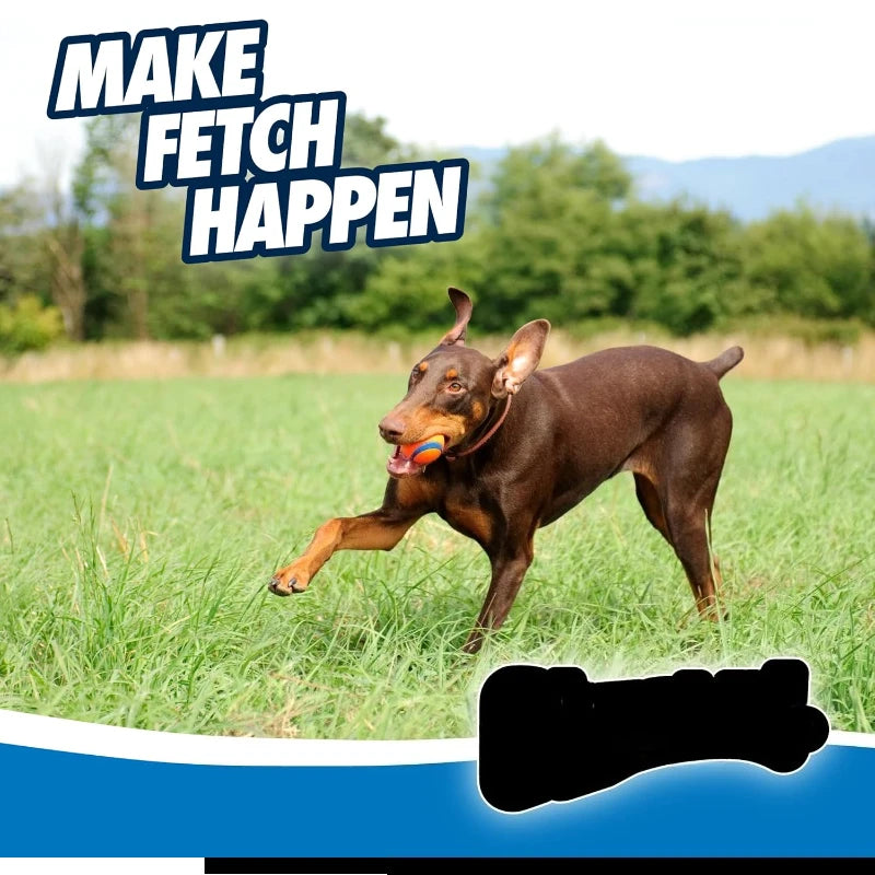 Ultra Ball Dog Toy