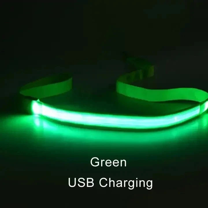 Led Pet Dog Leash Rope With Light Luminous