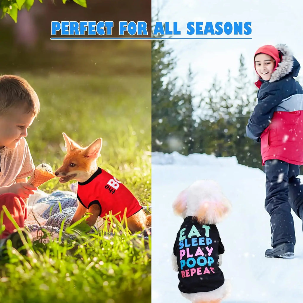 6 Pack Small Dog Clothes