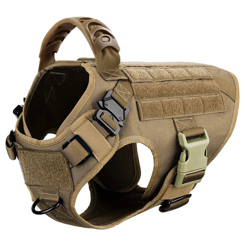 Large Dog Harness Leash Set