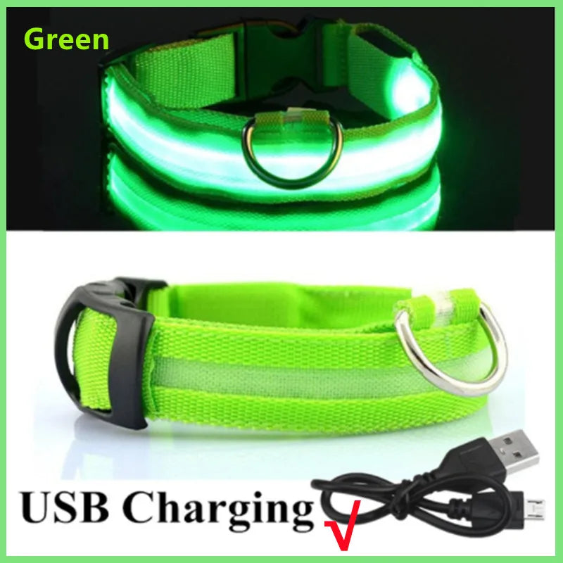 USB Rechargeable Luminous Collar for Large Small Dogs