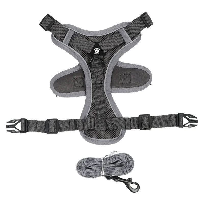 No Pull Dog Harness Leash