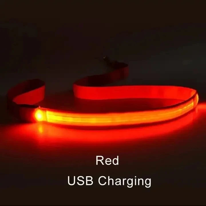 Led Pet Dog Leash Rope With Light Luminous