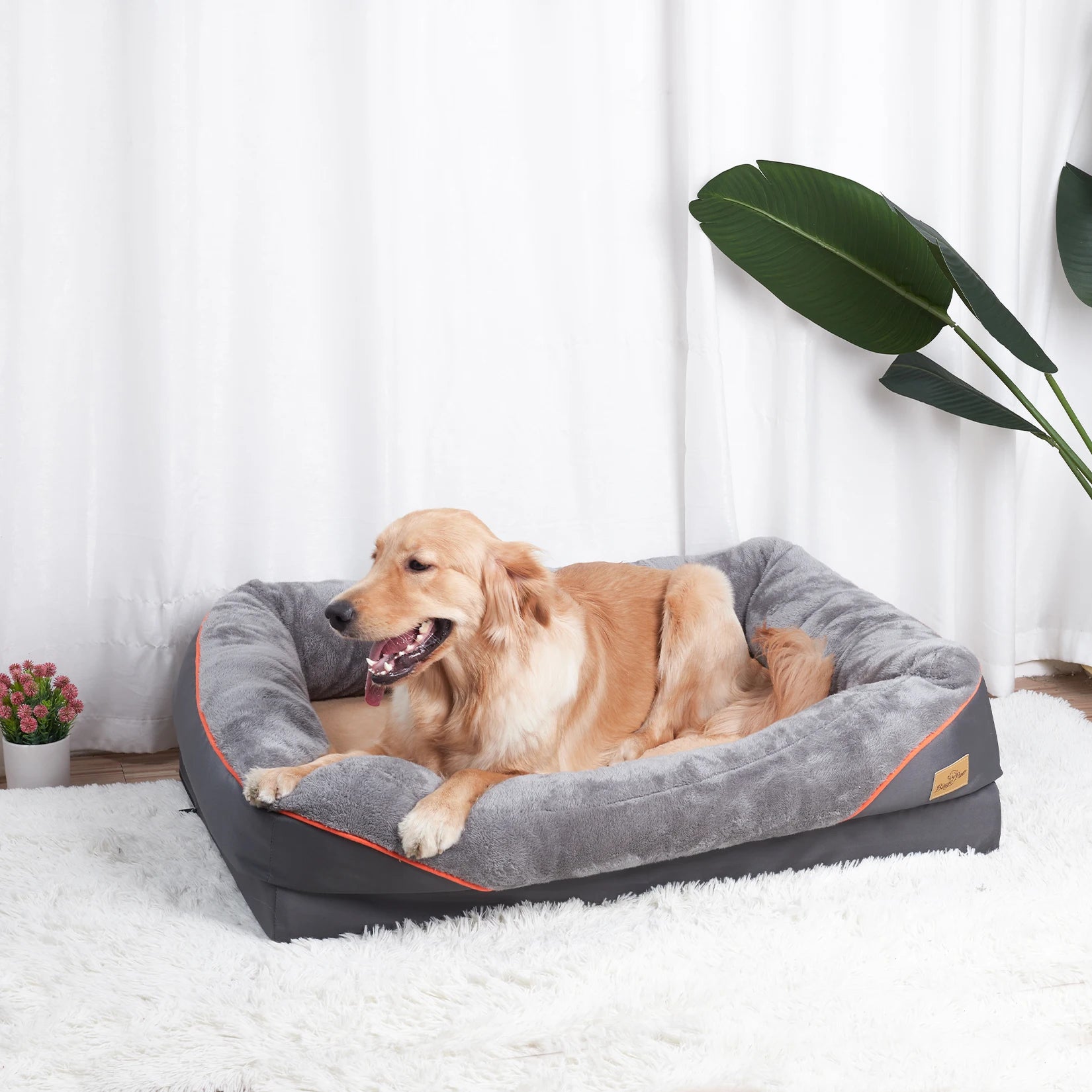 Large Dog Bed Soft Comfortable Anti Allergy