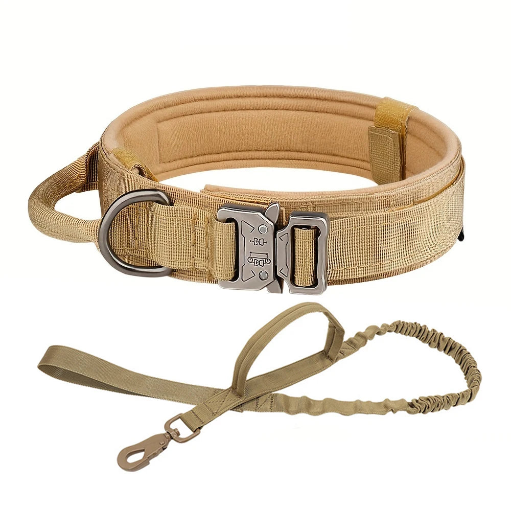 Dog Training Adjustable Dog Collar