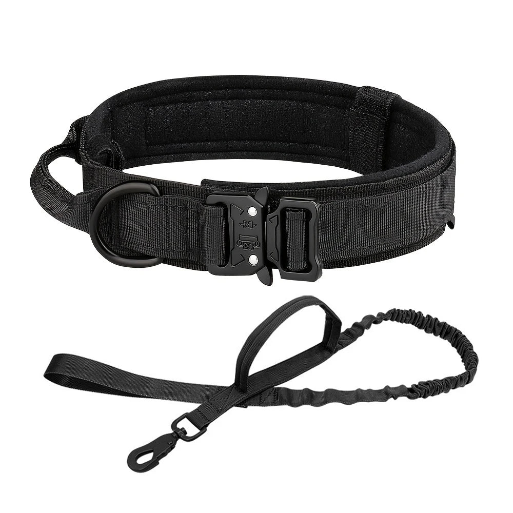 Dog Training Adjustable Dog Collar