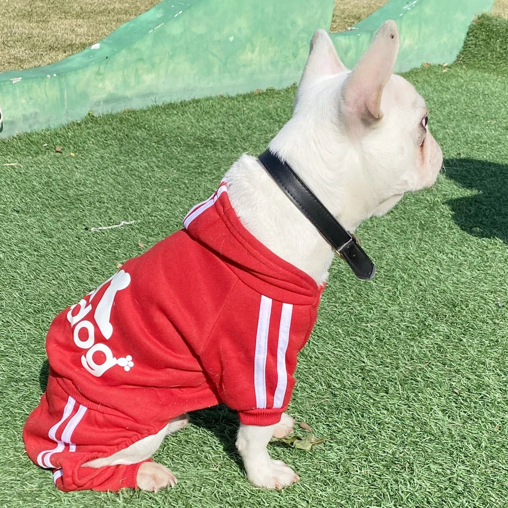Dog Jumpsuit for Small Dogs