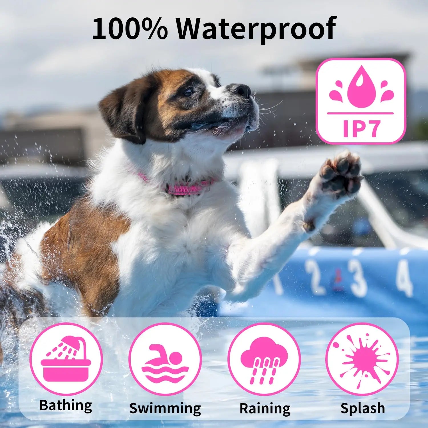 Waterproof No Shock Dog Training Collar