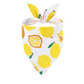 Dog Bandana Fruit Floral Spring Washable Soft Doggy Scarf
