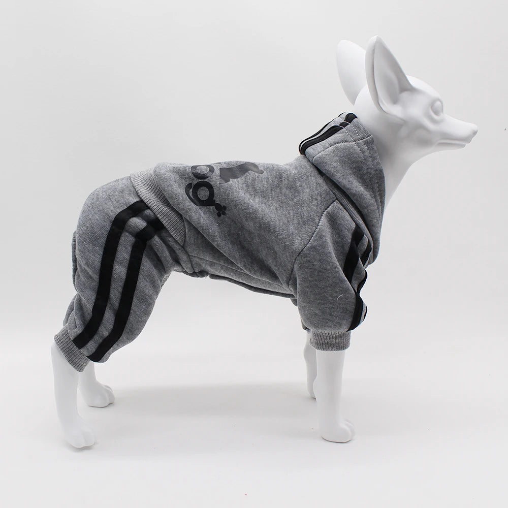 Dog Jumpsuit for Small Dogs