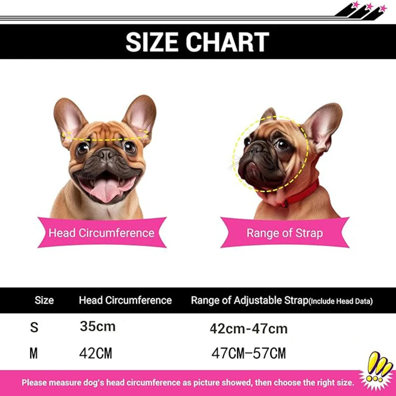 Dog Helmet for Small Medium Dog