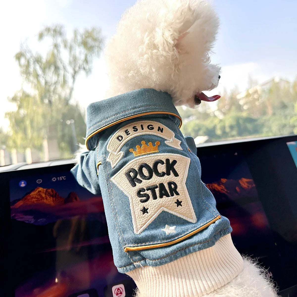 Rock Embroidery Blue Jacket Pet Clothes Dog Cat
