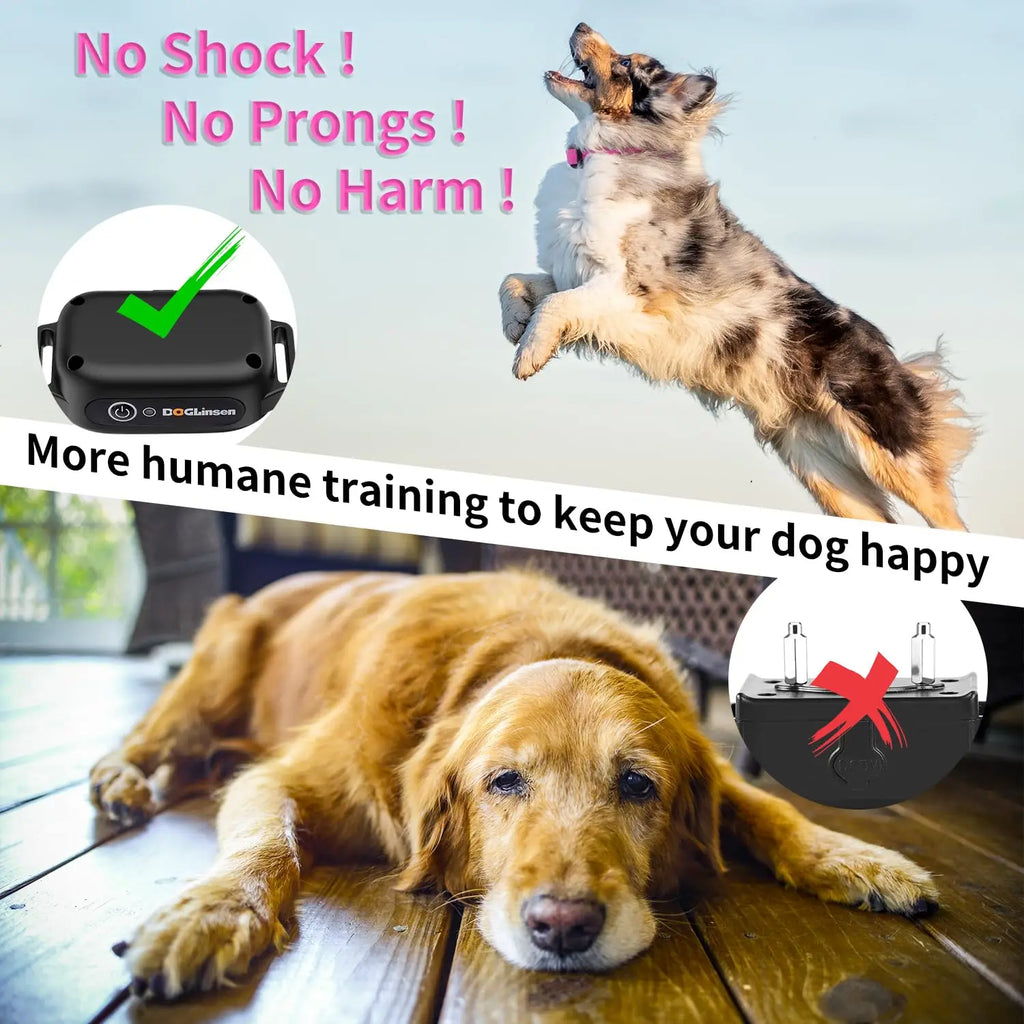 Waterproof No Shock Dog Training Collar