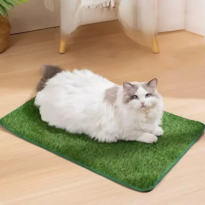 Simulation Lawn Dog Toilet Training Mat