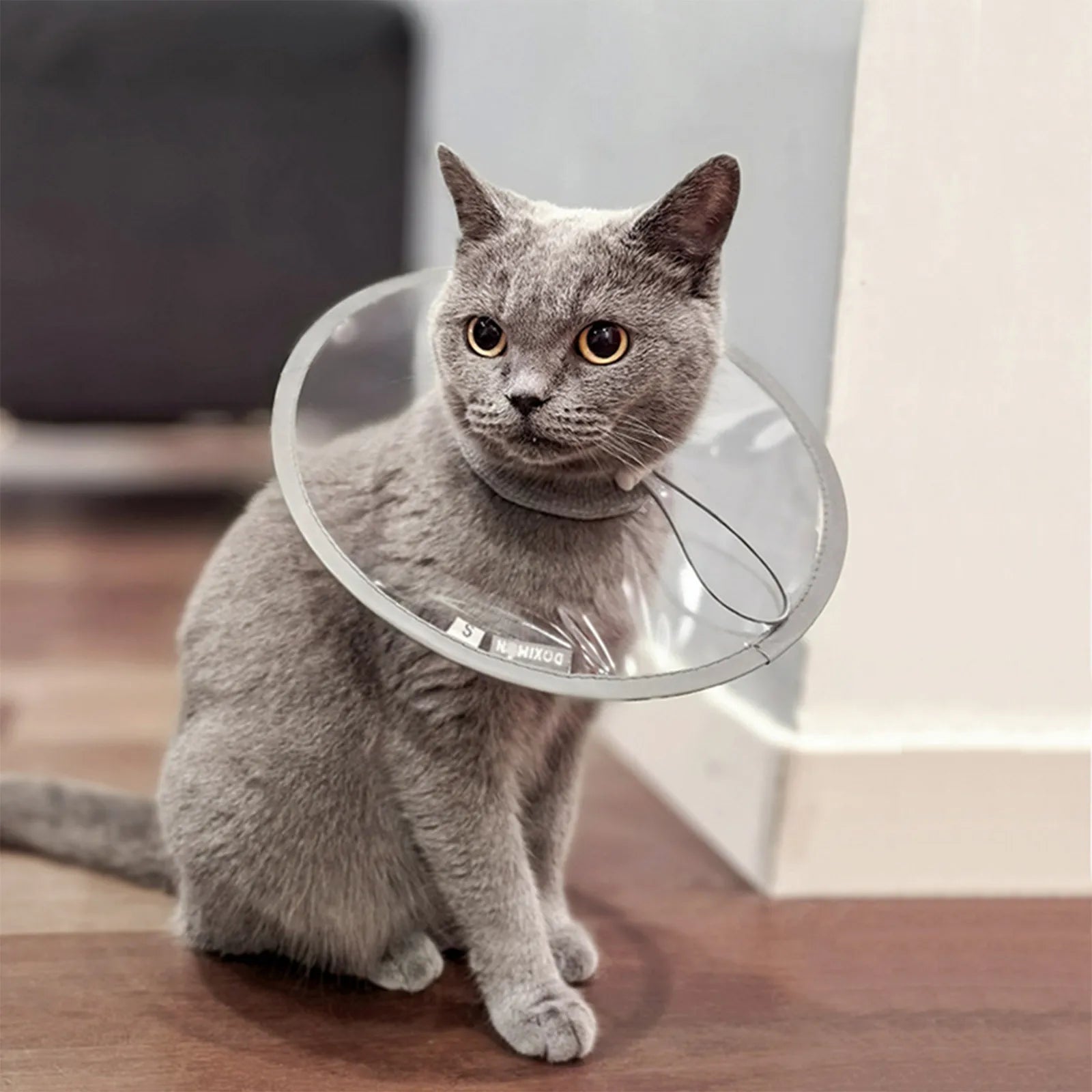 Pet Cat Protective Collar Neck Recovery Cone Collar