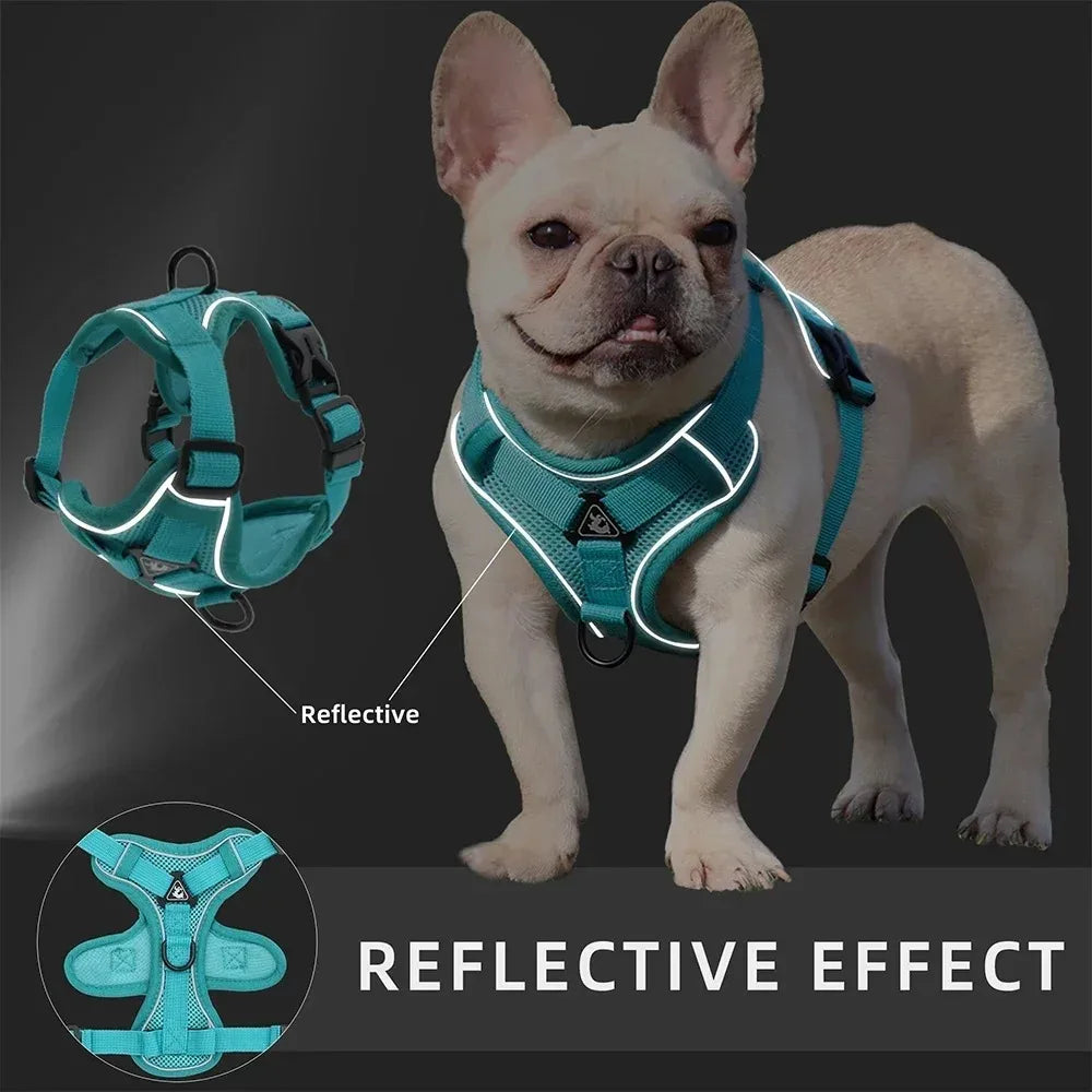 No Pull Dog Harness Leash