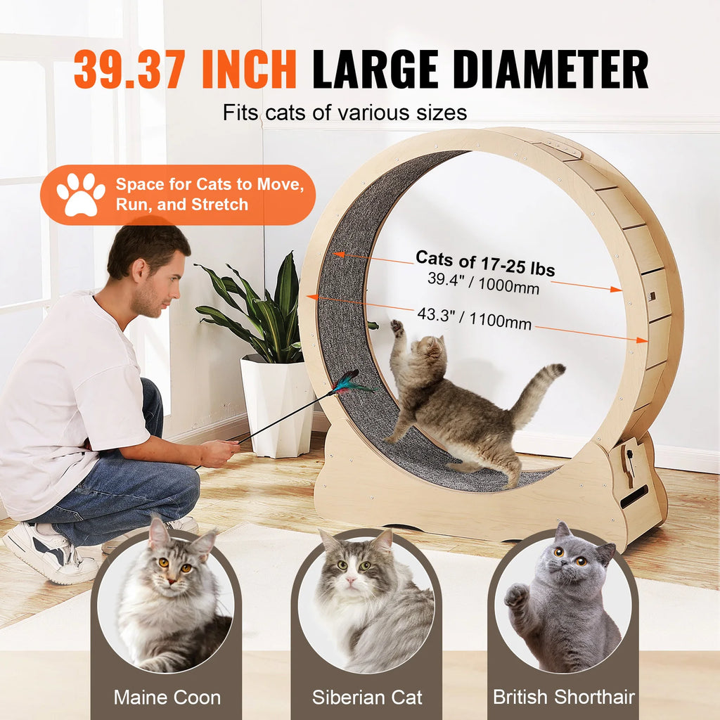 Wooden Cat Exercise Wheel \