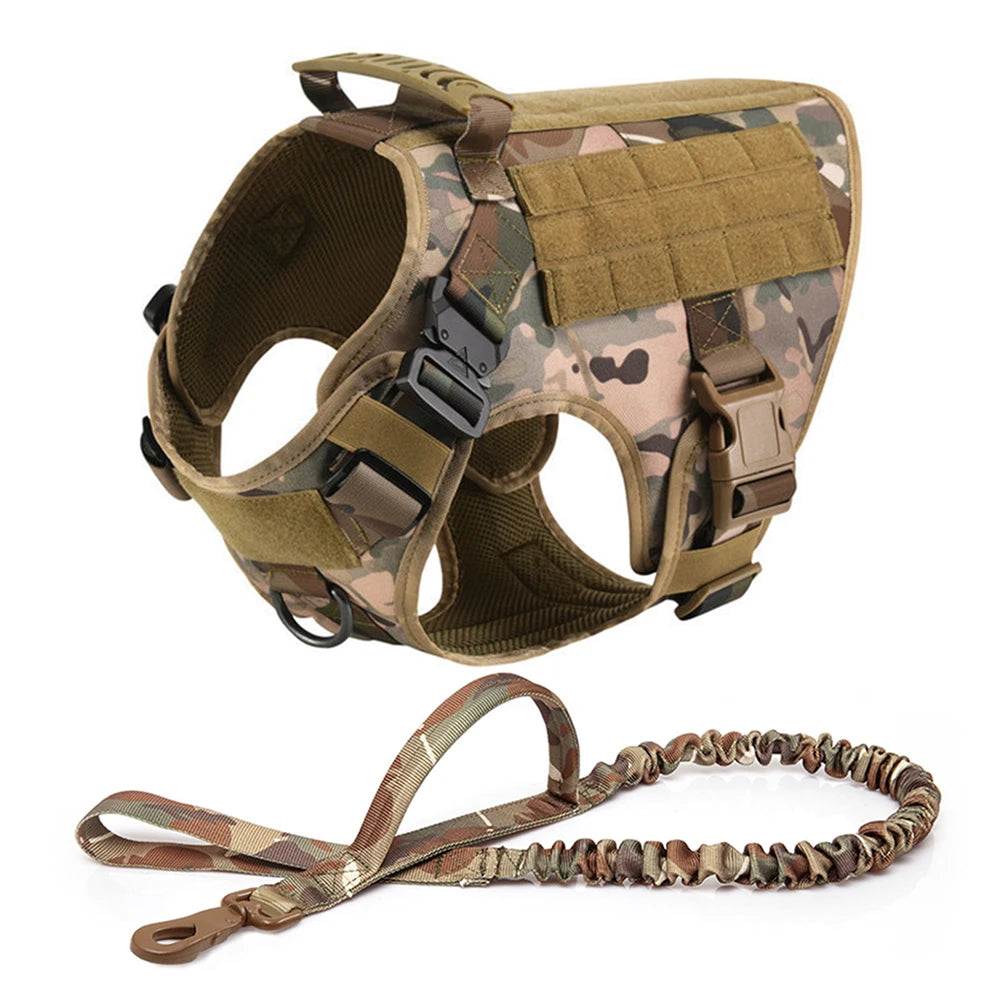 Large Dog Harness Leash Set