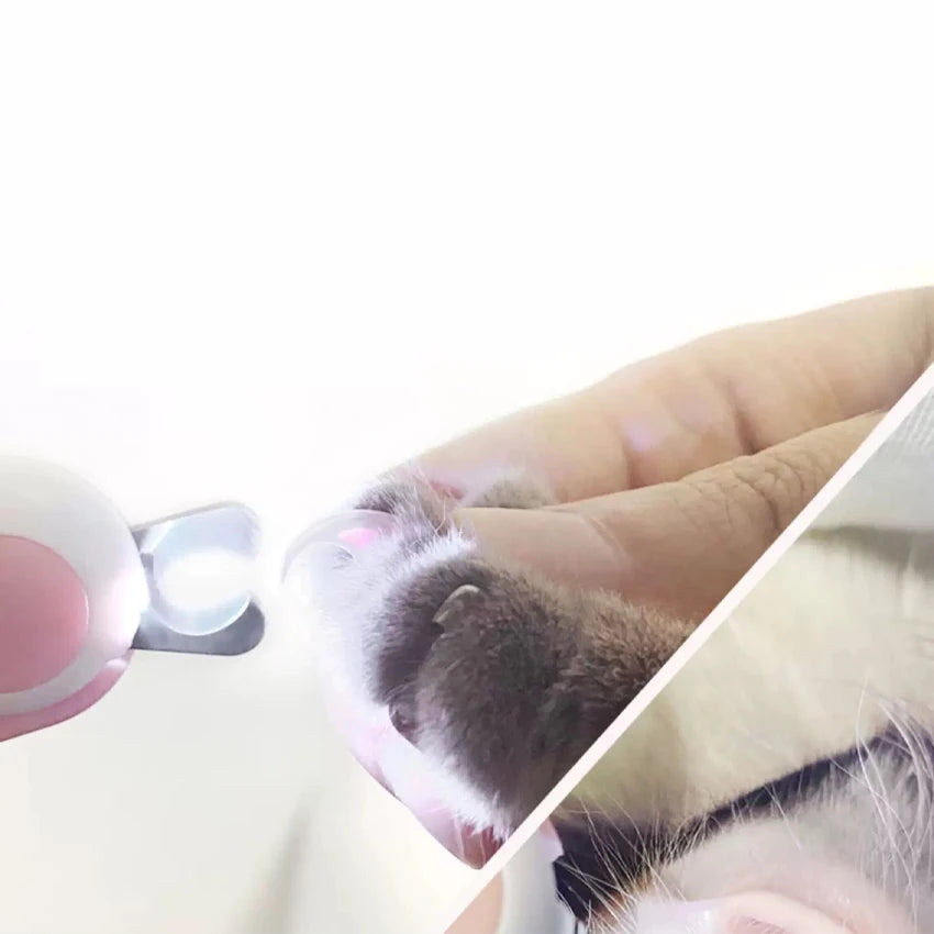 Mini Professional Electric Claw Cat and Dog Paw Trimmer