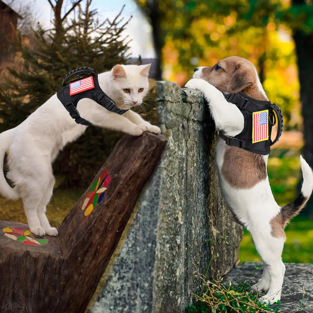 Tactical Puppy Harness Leash Set