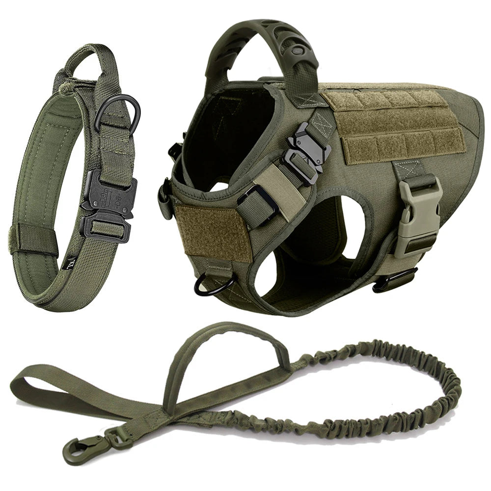 Large Dog Harness Leash Set