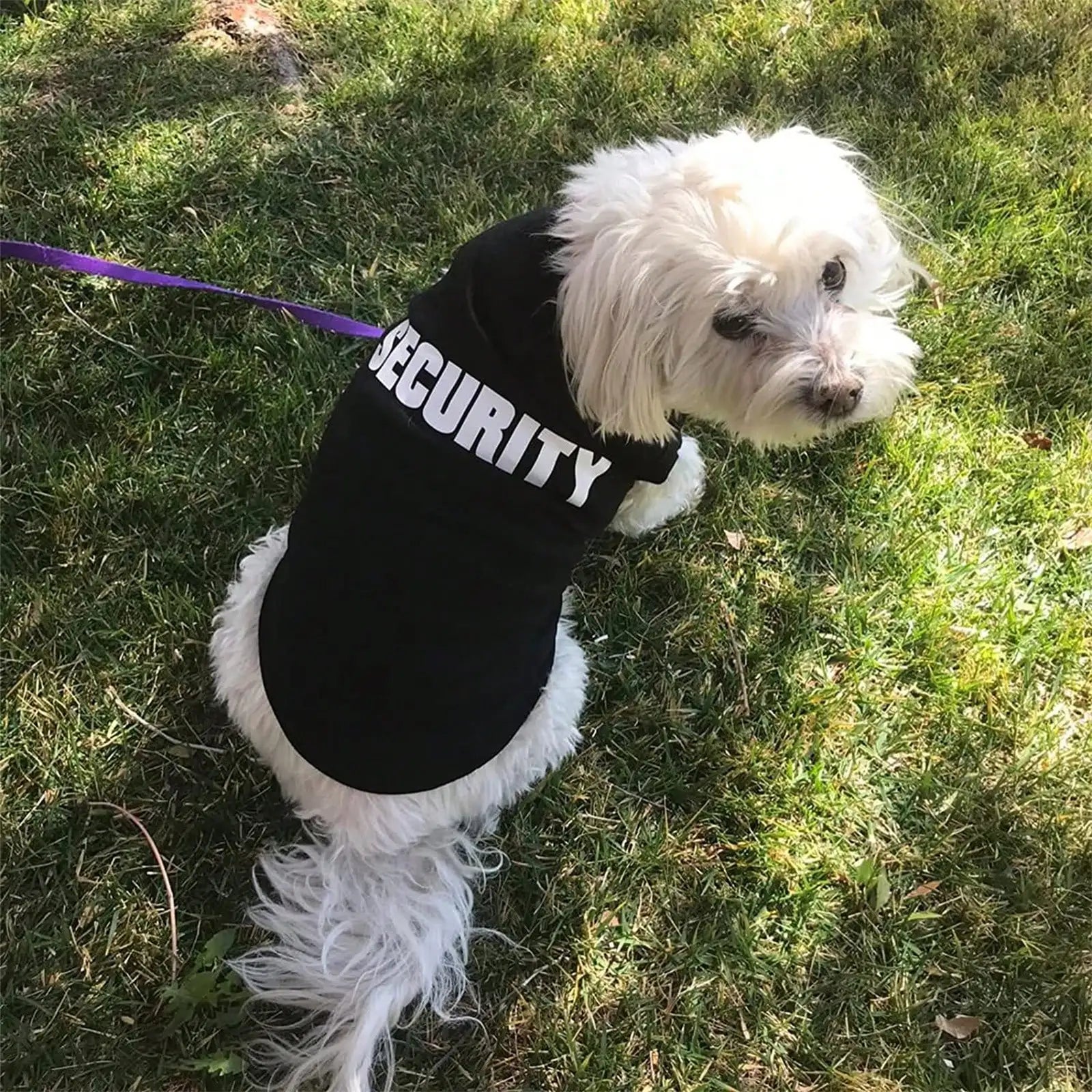 1 Pcs Dog and cat clothes