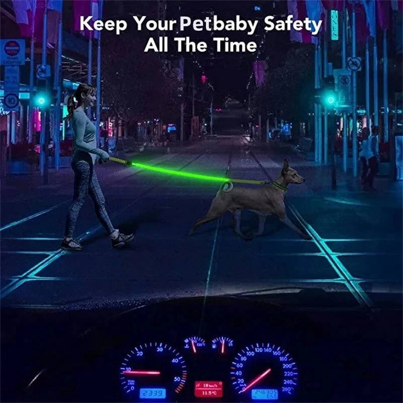 Led Pet Dog Leash Rope With Light Luminous